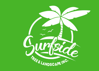 image-Surfside Tree & Landscape